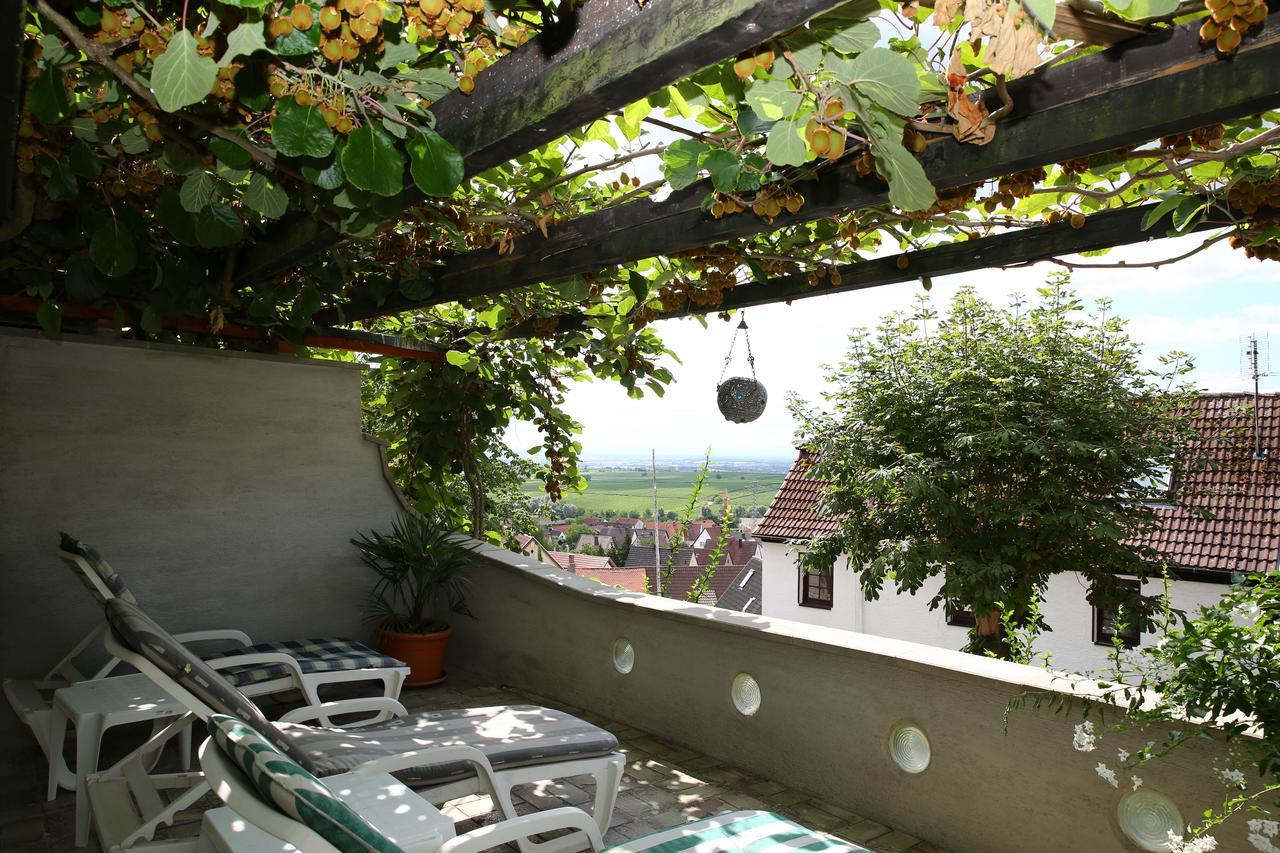 Pension Weinberg Mit Landhaus Nizza Gleisweiler Kültér fotó