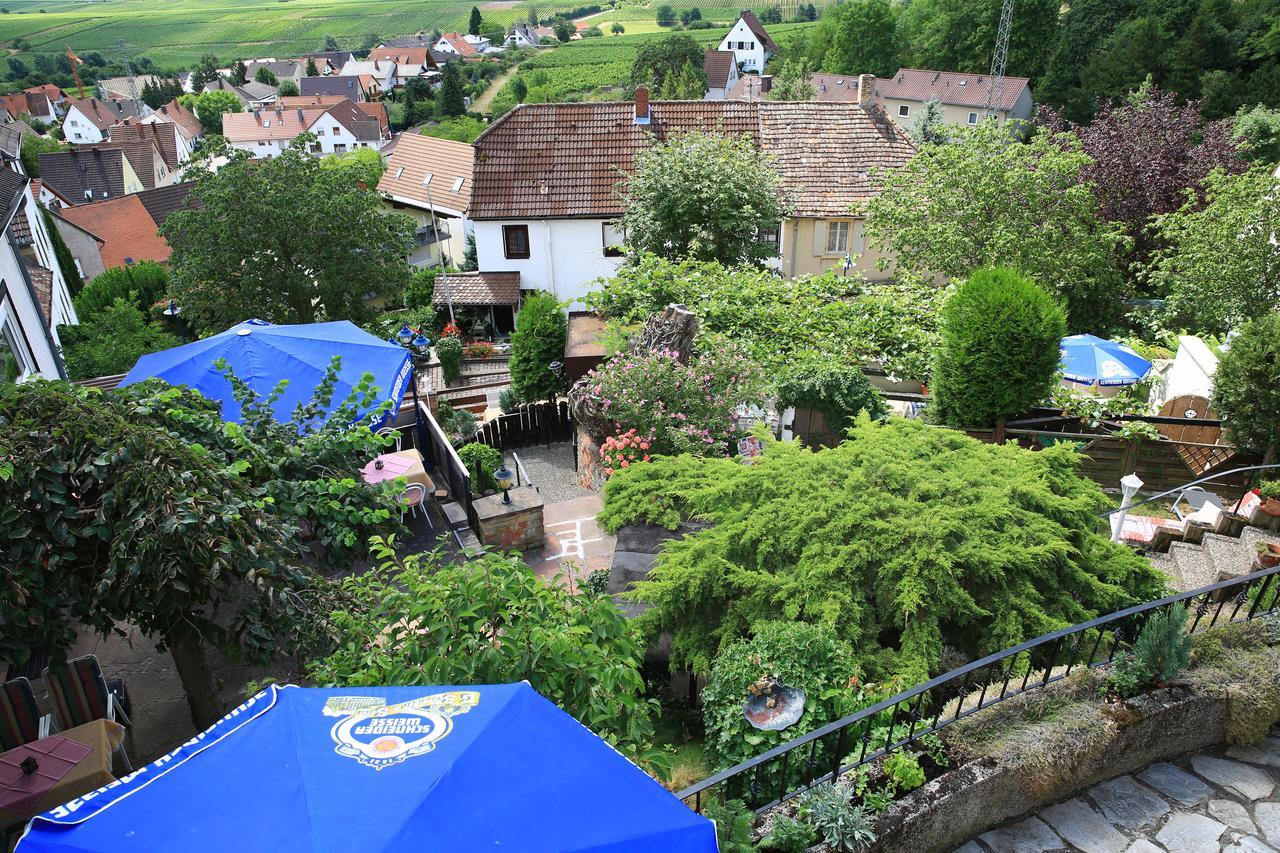 Pension Weinberg Mit Landhaus Nizza Gleisweiler Kültér fotó