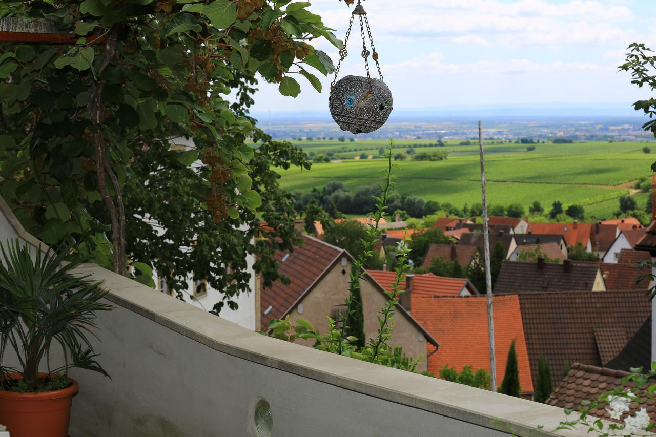 Pension Weinberg Mit Landhaus Nizza Gleisweiler Kültér fotó