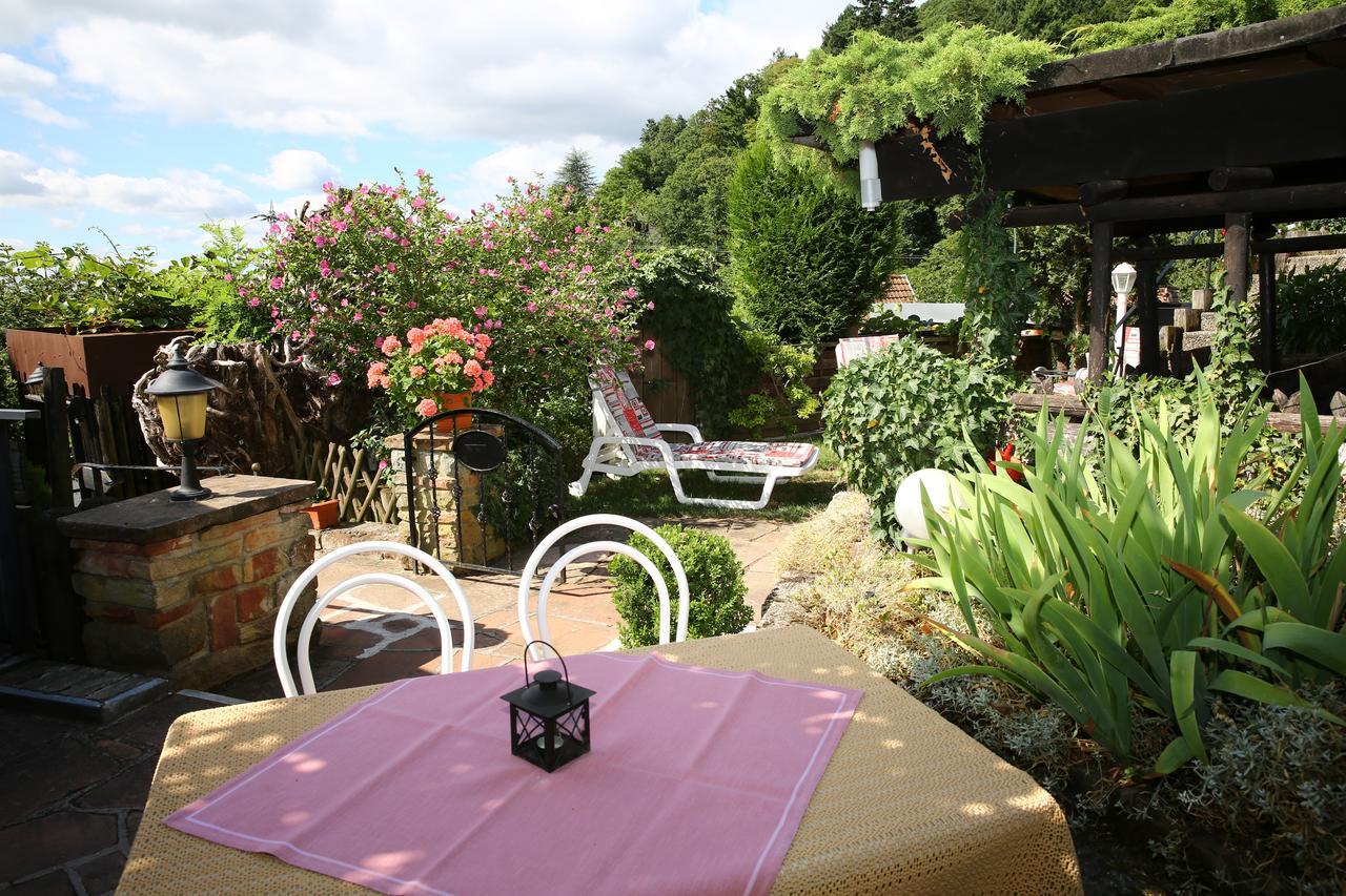 Pension Weinberg Mit Landhaus Nizza Gleisweiler Kültér fotó