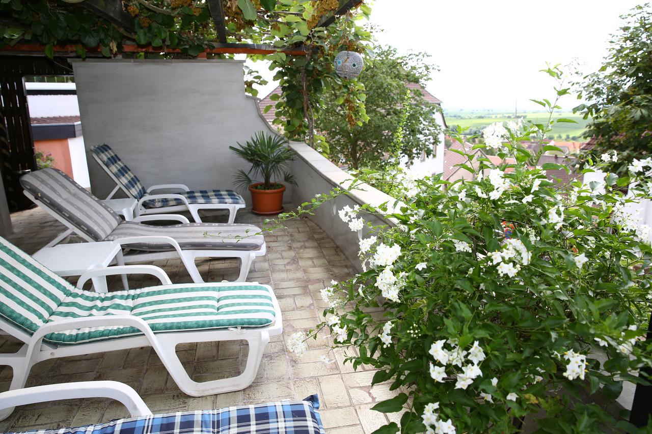 Pension Weinberg Mit Landhaus Nizza Gleisweiler Kültér fotó