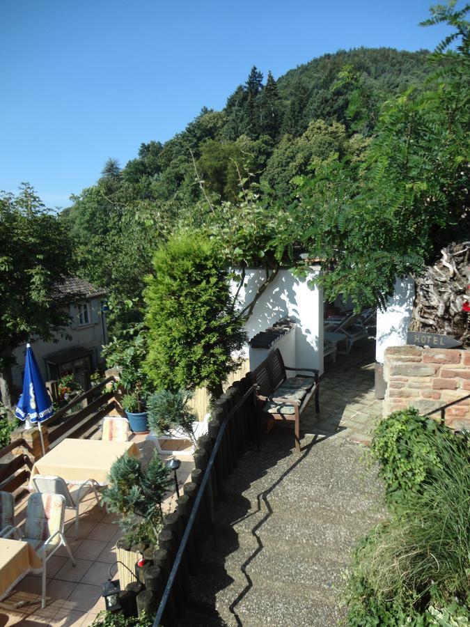 Pension Weinberg Mit Landhaus Nizza Gleisweiler Kültér fotó