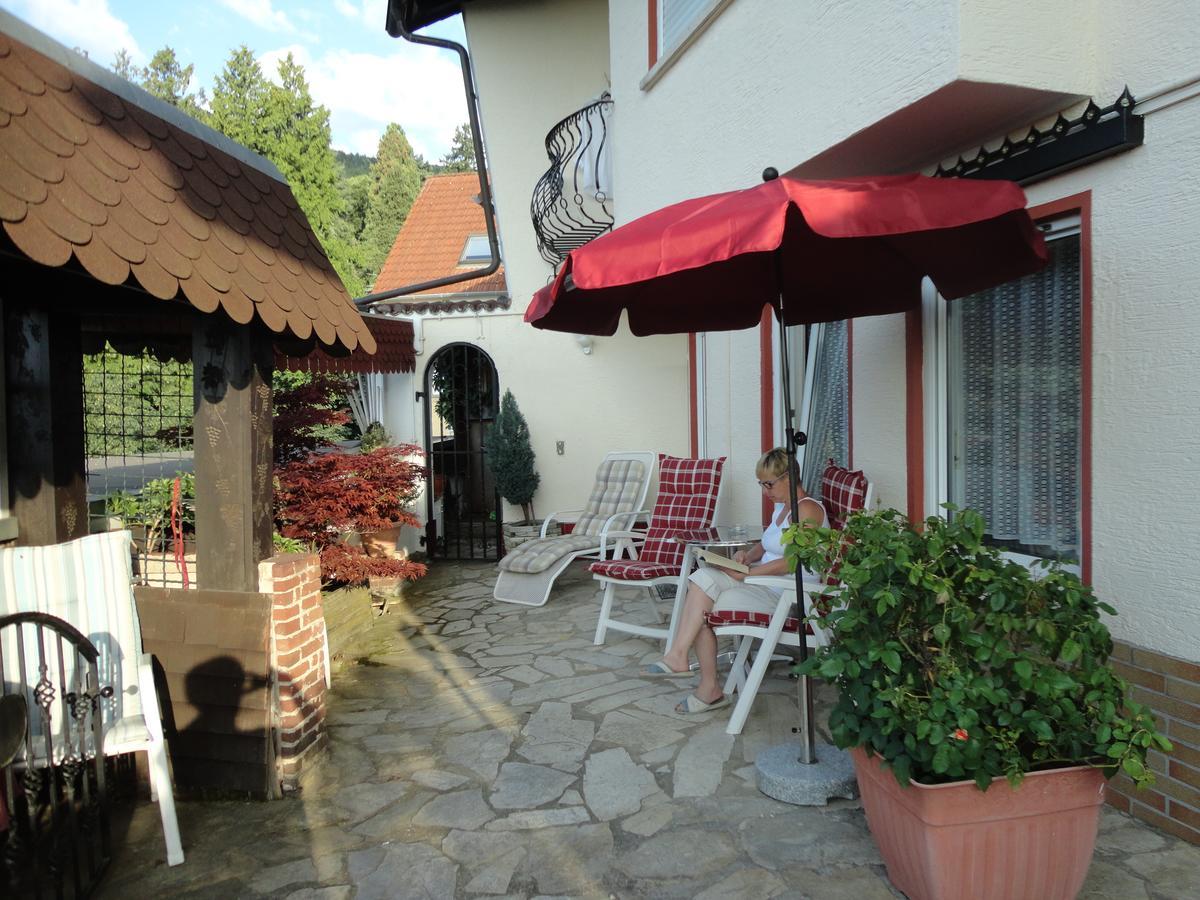 Pension Weinberg Mit Landhaus Nizza Gleisweiler Kültér fotó
